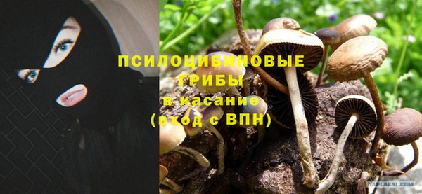 бошки Россошь