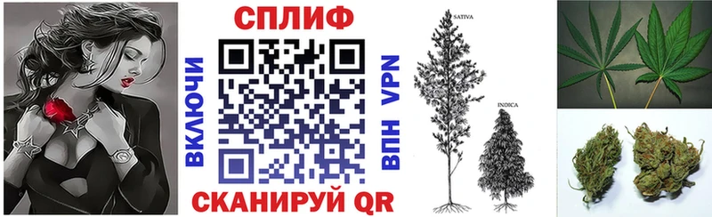 Бошки марихуана VHQ Торжок
